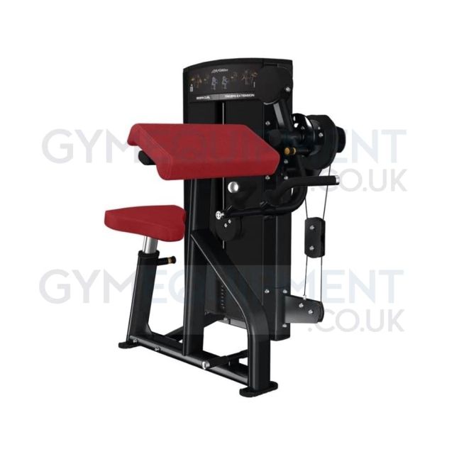 Life Fitness Axiom Series Triceps Extension