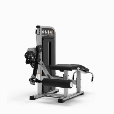 Exigo Dual Leg Extension / Leg Curl