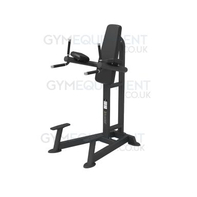 Spirit Fitness Leg Raise / Dip Station
