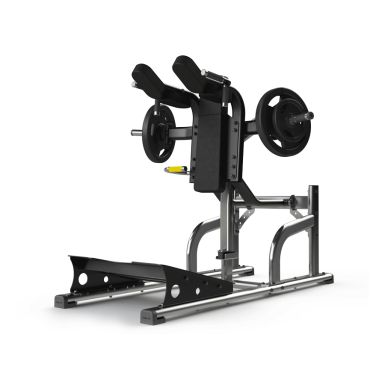 Exigo V Squat
