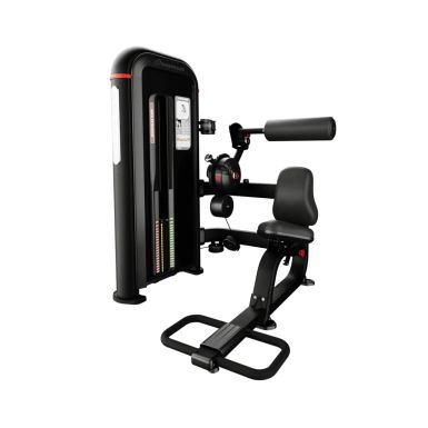 Nautilus Inspiration Back Extension machine