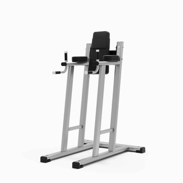 Exigo Leg Raise & Dip Station