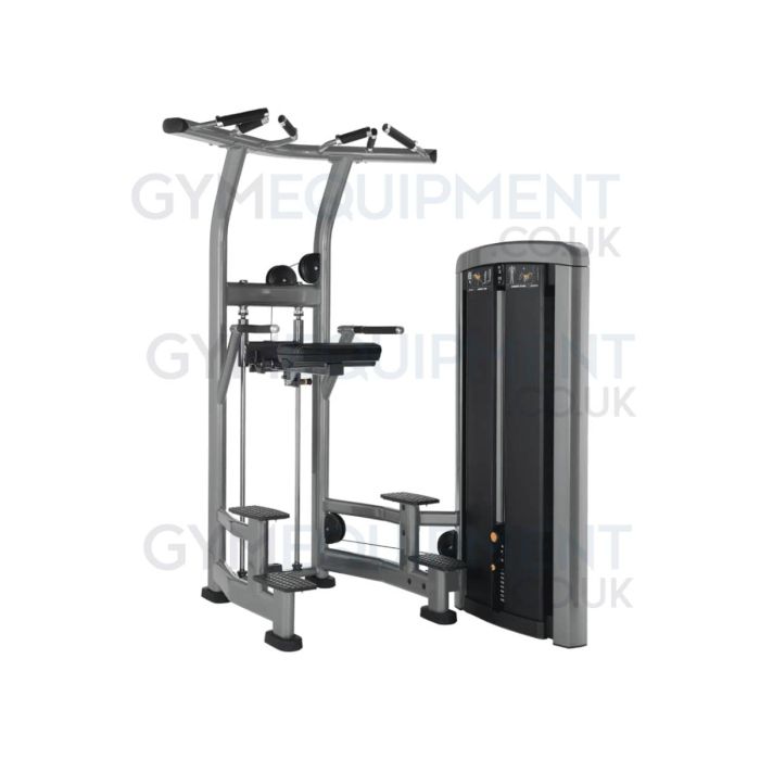 Life Fitness Insignia Series Assisted Dip Chin