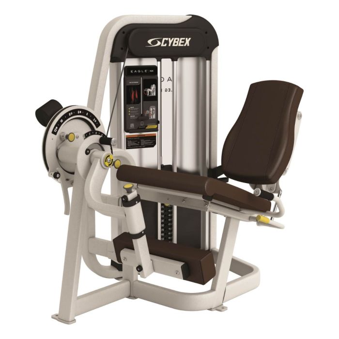 Cybex Prestige Cybex Eagle Fly Rear Delt Incline Press Cybex Chest