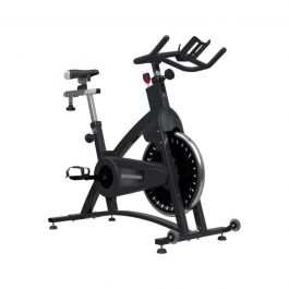 schwinn ic pro 20