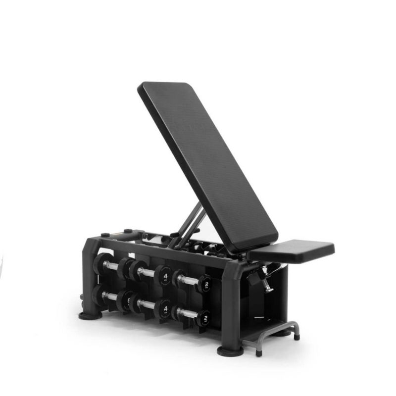 Evo Bench Multi-Functional Adjustable Bench