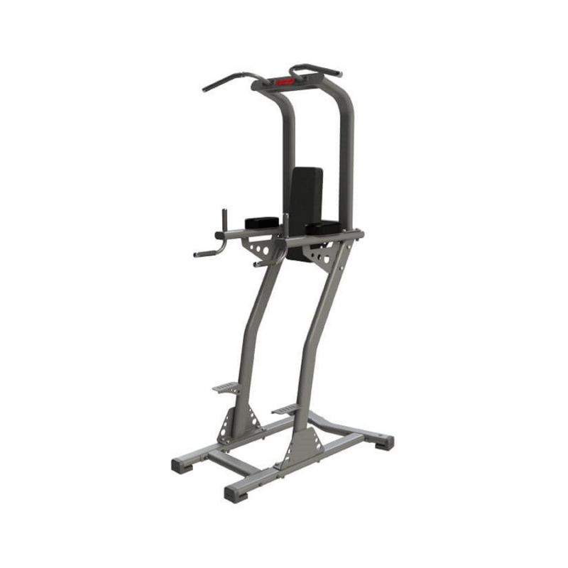 Exigo Chin Dip Leg Raise Station Chinning Frame