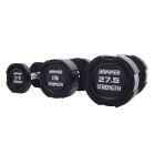hammer strength dumbbells rubber