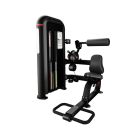 Nautilus Inspiration Back Extension machine