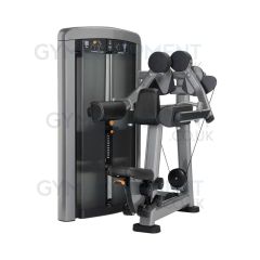 Life Fitness Insignia Series Lateral Raise