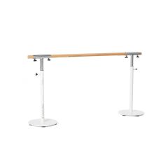 merrithew stability barre