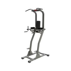 exigo chin dip leg raise