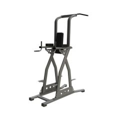 exigo rear chin, dip and leg raise