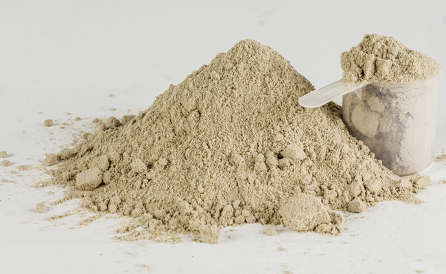 The Importance of Protein for Muscle Building